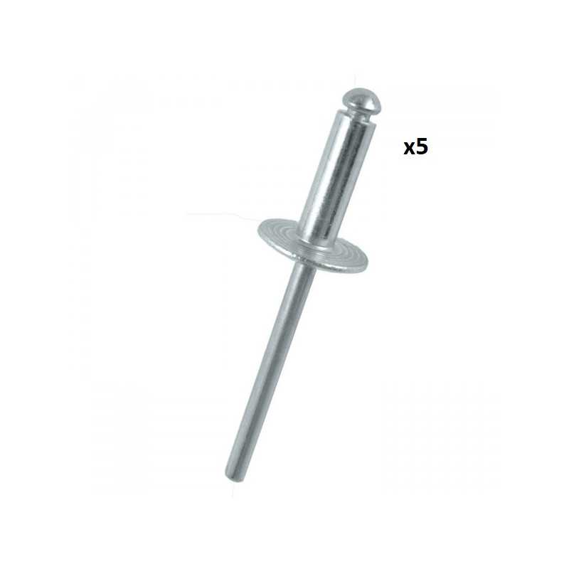 5 RIVETS 4,8 x 16,90mm 10877 *5