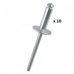 10 RIVETS 4.8X24.8MM 10878 *10