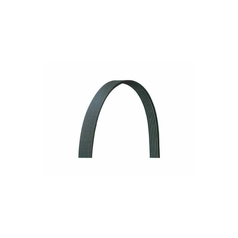Courroie de distribution DAYCO pour Dacia Duster Logan Sandero Nissan Juke Note Qashqai Renault Clio Kangoo Megane Scenic 94944 Courroie de distribution DAYCO pour Dacia Duster Logan Sandero Nissan Juke Note Qashqai Renault Clio Kangoo Megane Scenic 94944