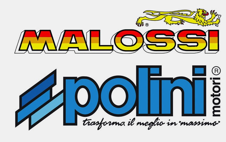 Pieces Malossi Polini